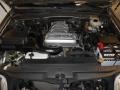 2004 Dorado Gold Pearl Toyota 4Runner Limited 4x4  photo #9