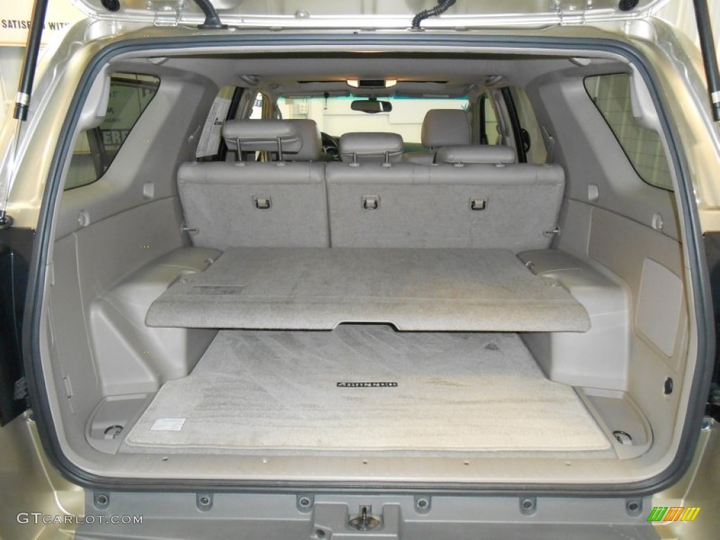 2004 4Runner Limited 4x4 - Dorado Gold Pearl / Stone photo #10