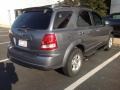 Alpine Gray - Sorento LX Photo No. 3