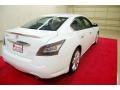 Winter Frost White - Maxima 3.5 SV Photo No. 6