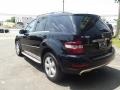Black - ML 350 4Matic Photo No. 3