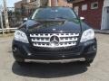 Black - ML 350 4Matic Photo No. 9