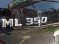 Black - ML 350 4Matic Photo No. 29