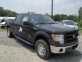 Front 3/4 View of 2013 F150 XL SuperCrew 4x4