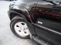 Black - 4Runner SR5 Photo No. 29