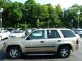 Sandstone Metallic - TrailBlazer LS 4x4 Photo No. 2