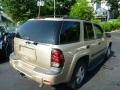 Sandstone Metallic - TrailBlazer LS 4x4 Photo No. 11