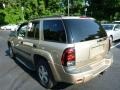 Sandstone Metallic - TrailBlazer LS 4x4 Photo No. 13