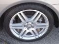 Palladium Silver Metallic - E 550 Coupe Photo No. 5