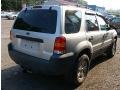Silver Metallic - Escape XLT V6 4WD Photo No. 8