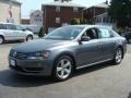 Platinum Gray Metallic 2013 Volkswagen Passat 2.5L SE Exterior