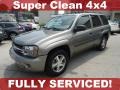 Graystone Metallic - TrailBlazer LS 4x4 Photo No. 1