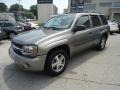 Graystone Metallic - TrailBlazer LS 4x4 Photo No. 2