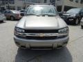 Graystone Metallic - TrailBlazer LS 4x4 Photo No. 3