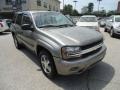 Graystone Metallic - TrailBlazer LS 4x4 Photo No. 4