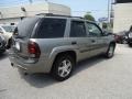 Graystone Metallic - TrailBlazer LS 4x4 Photo No. 6