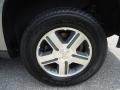 Graystone Metallic - TrailBlazer LS 4x4 Photo No. 10
