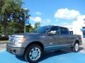 2010 Sterling Grey Metallic Ford F150 Platinum SuperCrew  photo #1