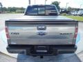 2010 Sterling Grey Metallic Ford F150 Platinum SuperCrew  photo #4