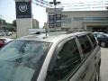 Graystone Metallic - TrailBlazer LS 4x4 Photo No. 36