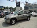 Graystone Metallic - TrailBlazer LS 4x4 Photo No. 42