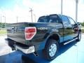 2013 Green Gem Metallic Ford F150 XLT SuperCrew 4x4  photo #3