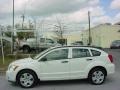 Stone White - Caliber SXT Photo No. 2