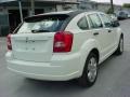 Stone White - Caliber SXT Photo No. 6