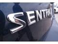 2007 Blue Onyx Metallic Nissan Sentra 2.0 SL  photo #8