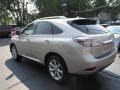 Satin Cashmere Metallic - RX 350 Photo No. 6