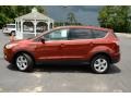 Sunset 2014 Ford Escape SE 2.0L EcoBoost 4WD Exterior