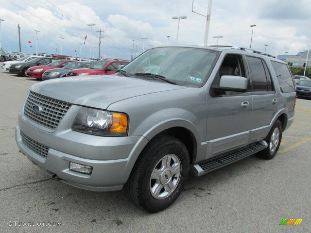 Pewter Metallic 2006 Ford Expedition Limited 4x4 Exterior Photo #82733697