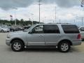 Pewter Metallic 2006 Ford Expedition Limited 4x4 Exterior
