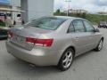 Golden Beige - Sonata GLS V6 Photo No. 4