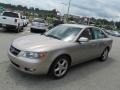 Golden Beige - Sonata GLS V6 Photo No. 6