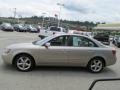 Golden Beige - Sonata GLS V6 Photo No. 7