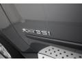2013 Space Gray Metallic BMW X5 xDrive 35i Premium  photo #33