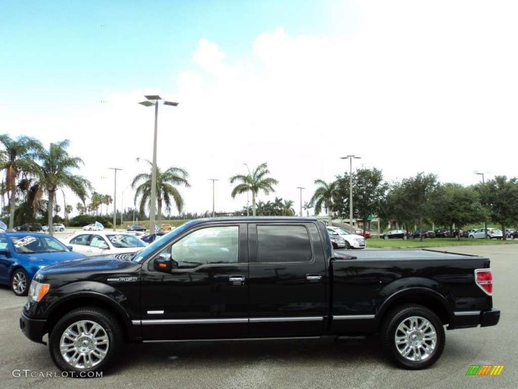 Tuxedo Black Metallic 2012 Ford F150 Platinum SuperCrew Exterior Photo #82747651