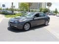 Graphite Luster Metallic - TL 3.5 Photo No. 2