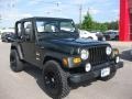 Moss Green Pearlcoat - Wrangler Willys Edition 4x4 Photo No. 4