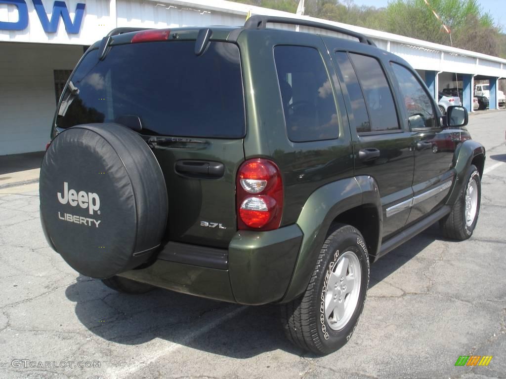 2006 Liberty Sport 4x4 - Jeep Green Metallic / Medium Slate Gray photo #2