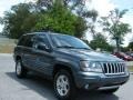 Onyx Green Pearl - Grand Cherokee Laredo Photo No. 7