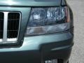 Onyx Green Pearl - Grand Cherokee Laredo Photo No. 9