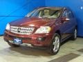 Barolo Red Metallic - ML 350 4Matic Photo No. 4