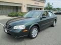 Sherwood Green Metallic - Maxima GXE Photo No. 2