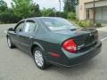 Sherwood Green Metallic - Maxima GXE Photo No. 5