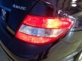 Capri Blue Metallic - C 300 Sport 4Matic Photo No. 18