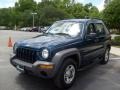 2003 Patriot Blue Pearl Jeep Liberty Sport  photo #7