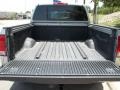 2009 Radiant Silver Nissan Titan LE Crew Cab  photo #6