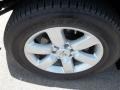 Radiant Silver - Titan LE Crew Cab Photo No. 36